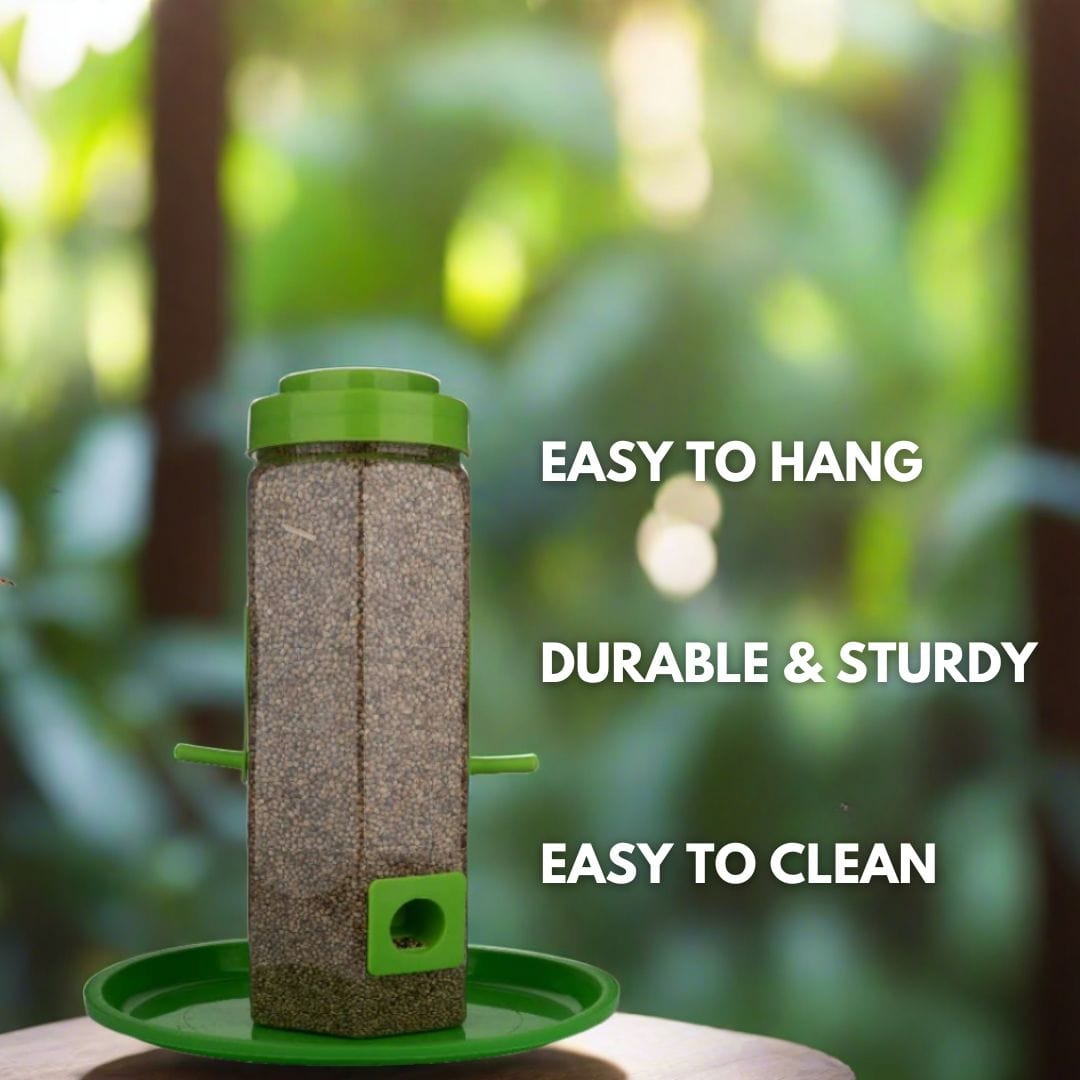 Mangeoire à oiseaux