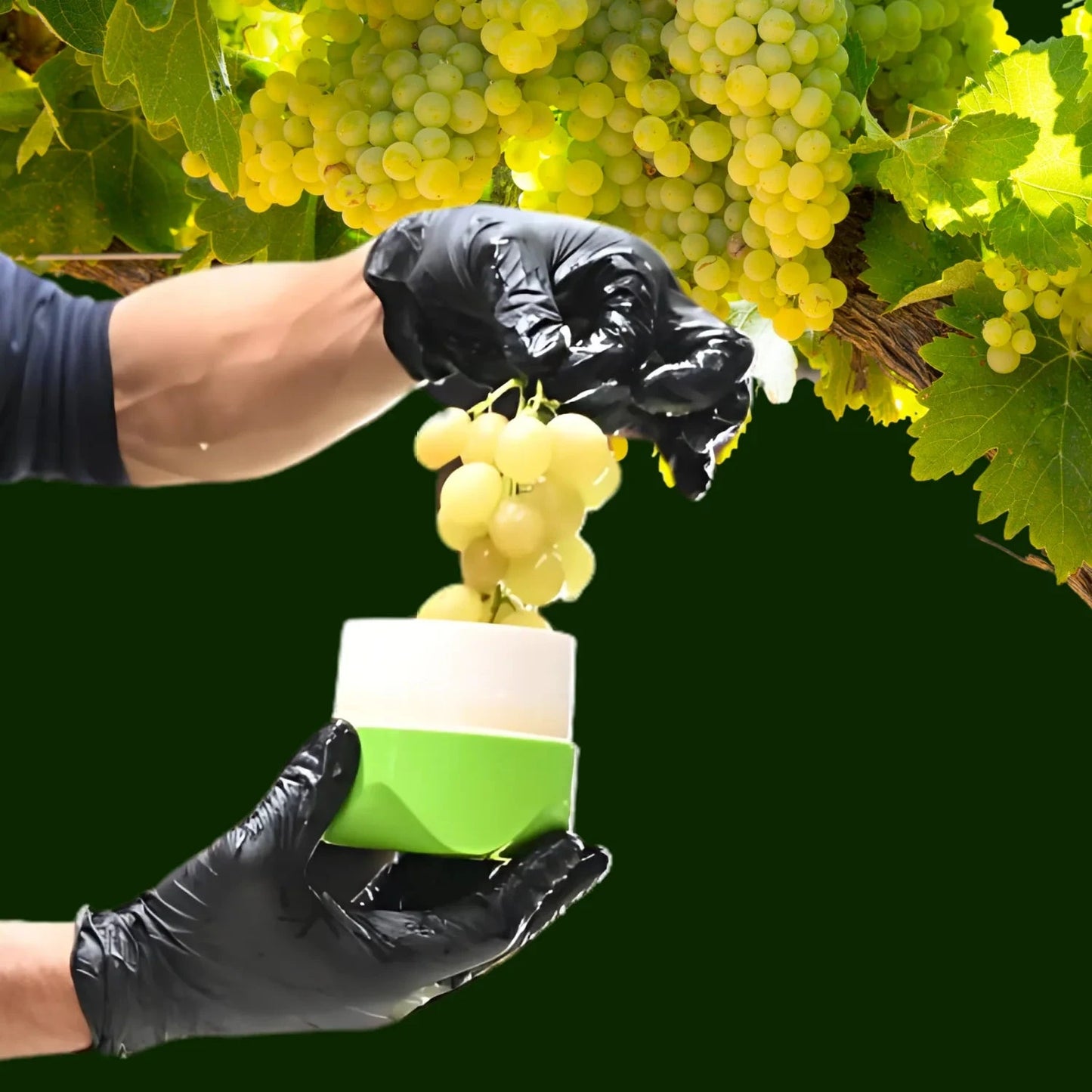 Presse-fruit révolutionnaire