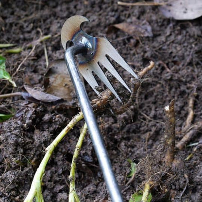 Houe de désherbage à griffes