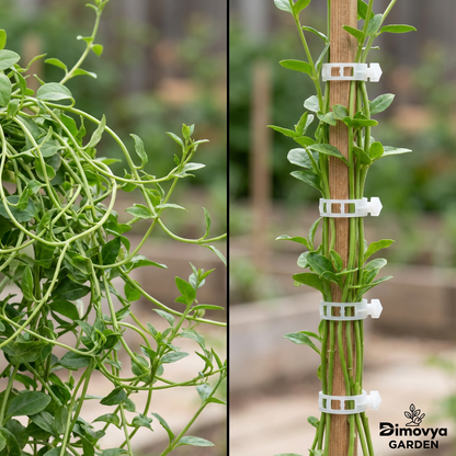 Clips de support pour plantes