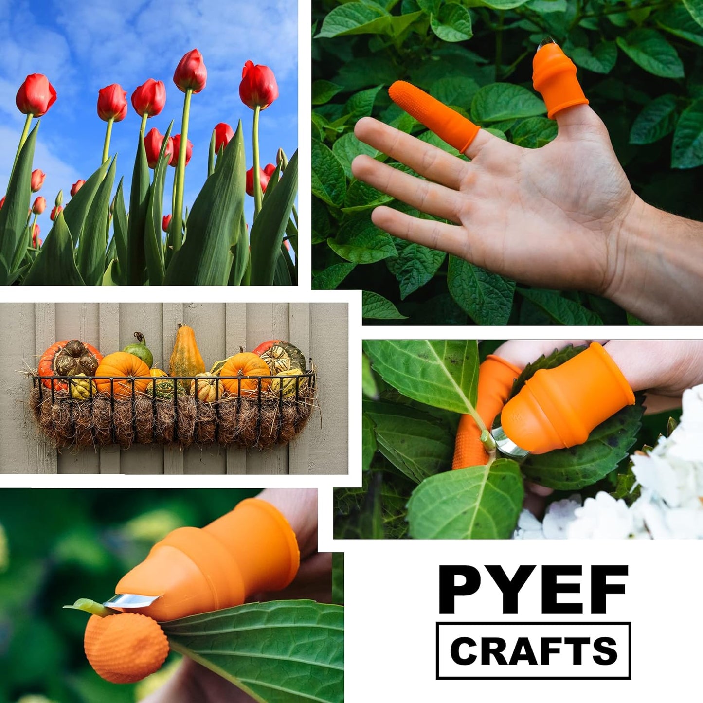 Couteau de récolte de légumes