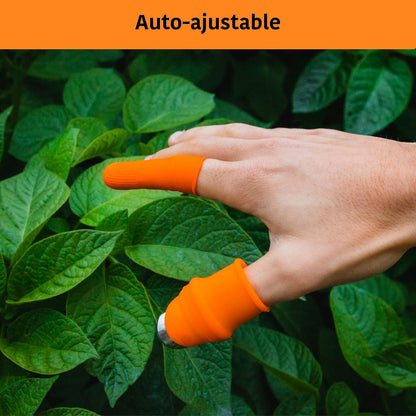 Couteau de récolte de légumes