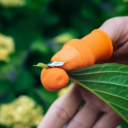 Couteau de récolte de légumes