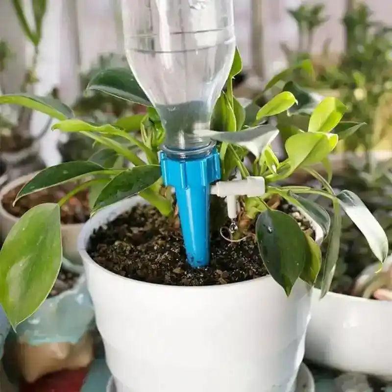 Système D'irrigation Pour Plantes