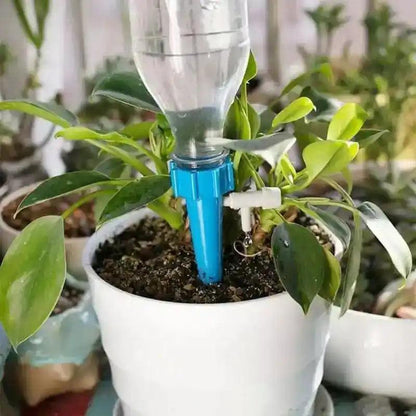 Système D'irrigation Pour Plantes