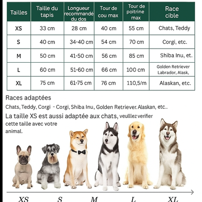 PEIGNOIR ULTRA ABSORBANT