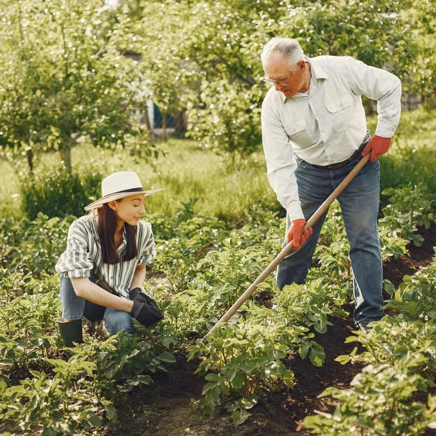 Râteau de désherbage