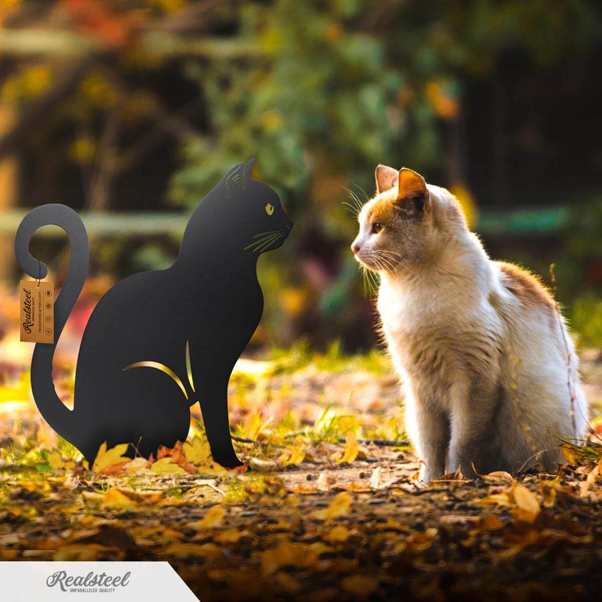 Trio Félin en Acier