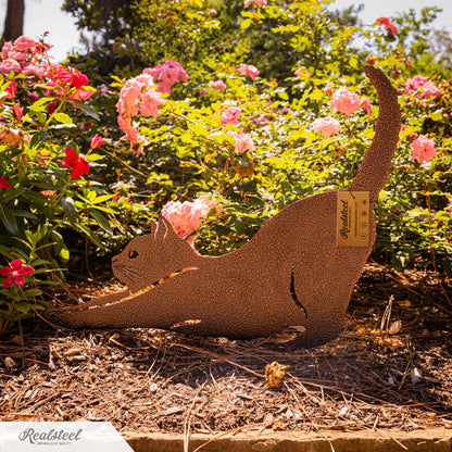 Trio Félin en Acier