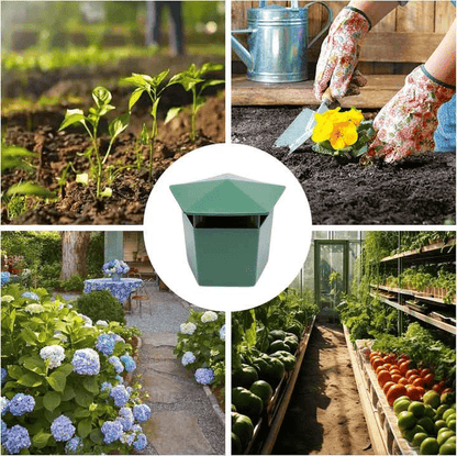 Piège écologique pour limaces et escargots