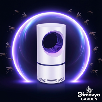 Lampe Siphon anti-moustiques