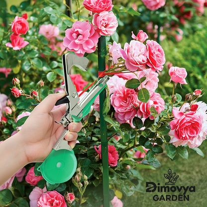 Attache branche Révolutionnaire