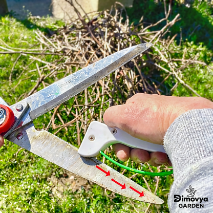 Affûteur pour Outils de Jardin