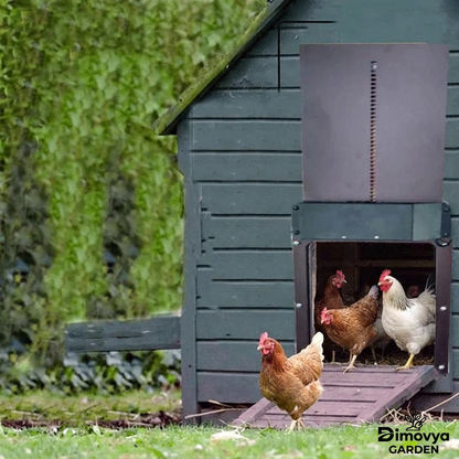 Automatic Chicken Coop Door