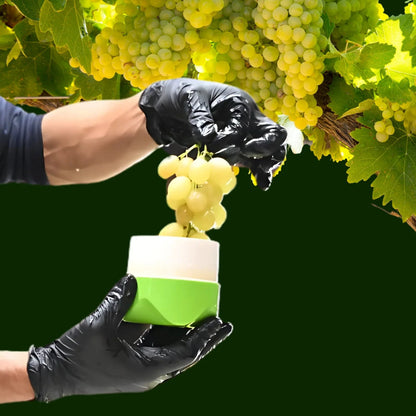 Presse-fruit révolutionnaire