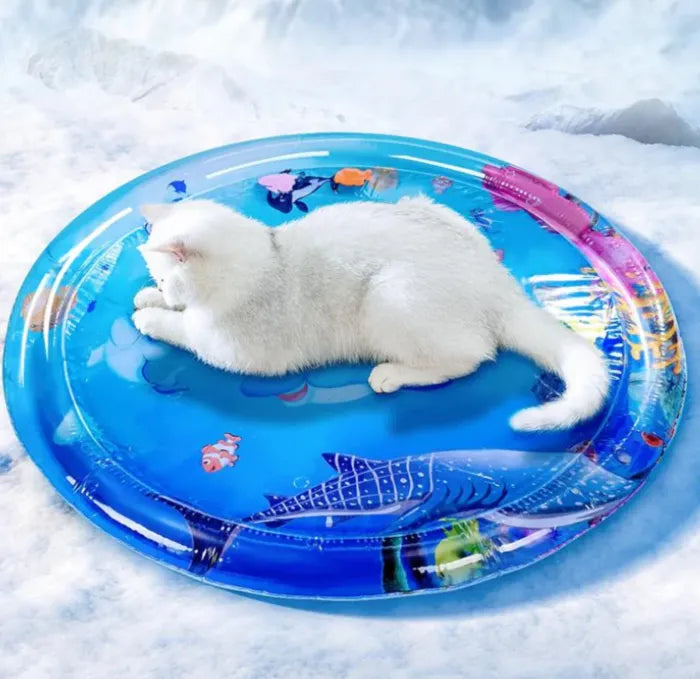 Tapis d’Eau Sensoriel pour Chats