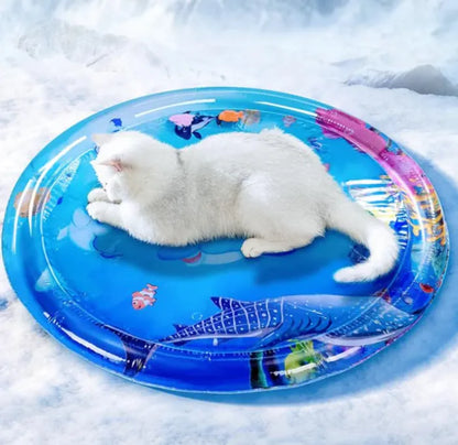 Tapis d’Eau Sensoriel pour Chats