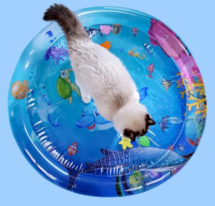 Tapis d’Eau Sensoriel pour Chats